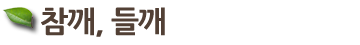 Ҿƹ